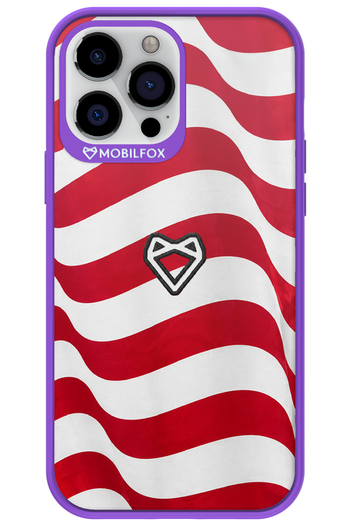 USA 2.0 - Apple iPhone 13 Pro Max