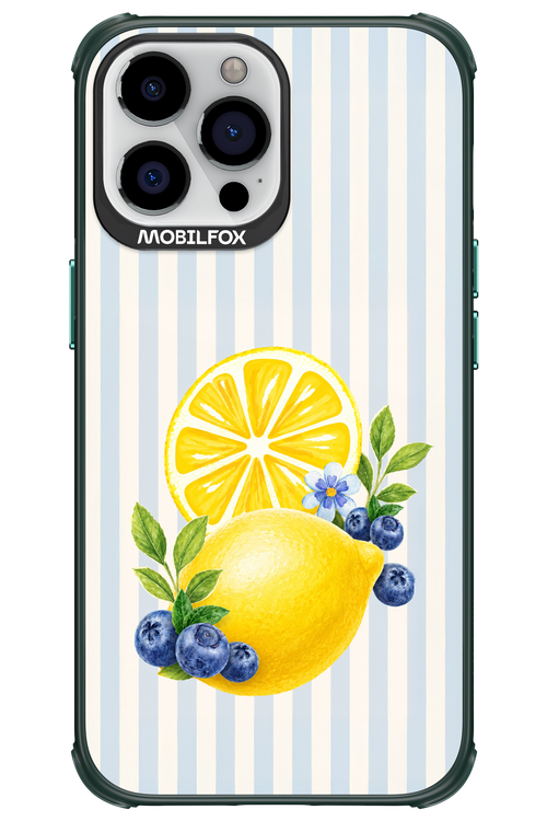 Fresh Flash 2.0 - Apple iPhone 13 Pro Max