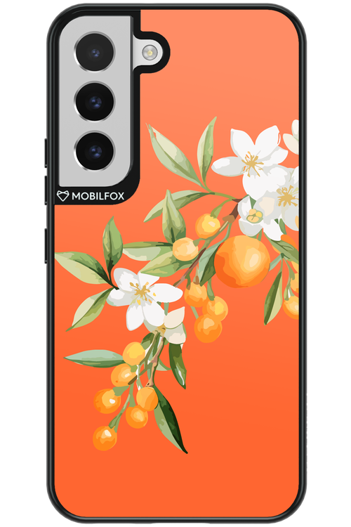 Amalfi Oranges - Samsung Galaxy S22