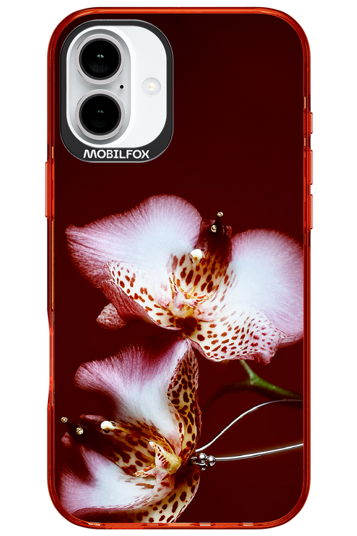 Leobloomy 2.0 - Apple iPhone 16 Plus
