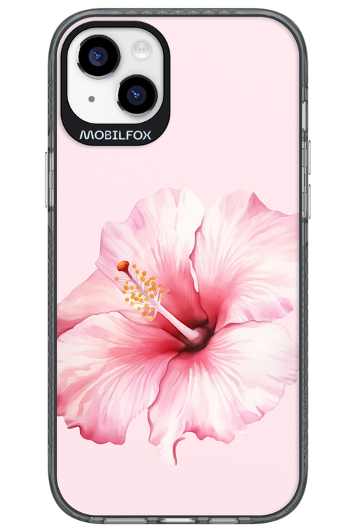 HibiPinky - Apple iPhone 14 Plus