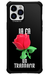 Rose Black - Apple iPhone 12 Pro Max