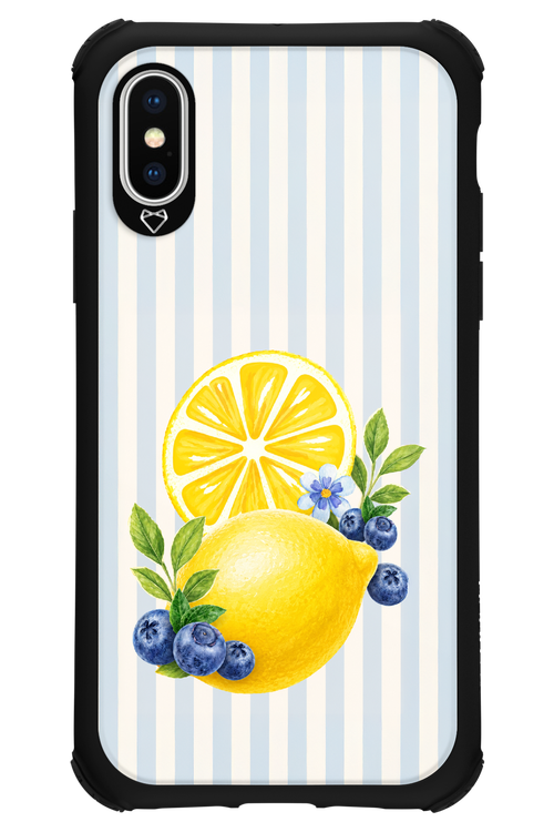 Fresh Flash 2.0 - Apple iPhone X