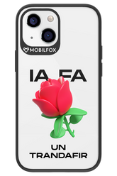 IA Rose Transparent - Apple iPhone 13 Mini