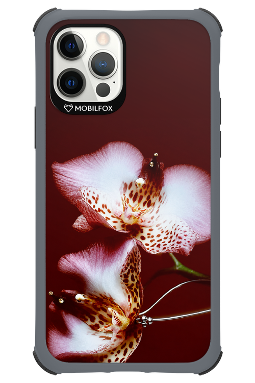 Leobloomy 2.0 - Apple iPhone 12 Pro