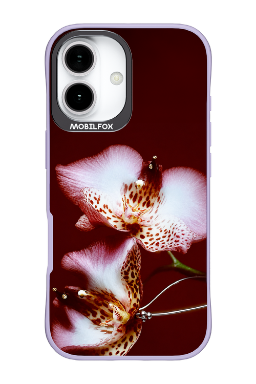 Leobloomy 2.0 - Apple iPhone 17