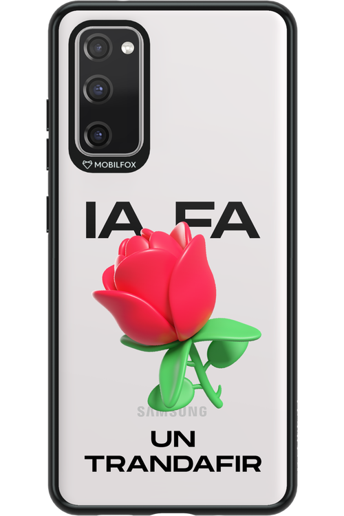 IA Rose Transparent - Samsung Galaxy S20 FE