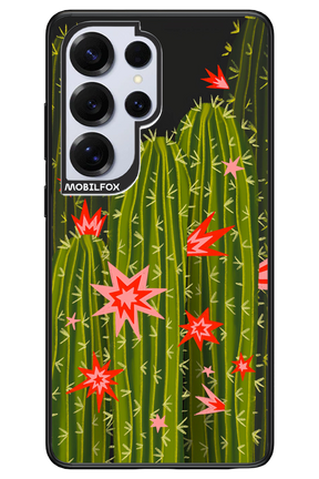 Cactus bloom 2.0 - Samsung S25 Ultra