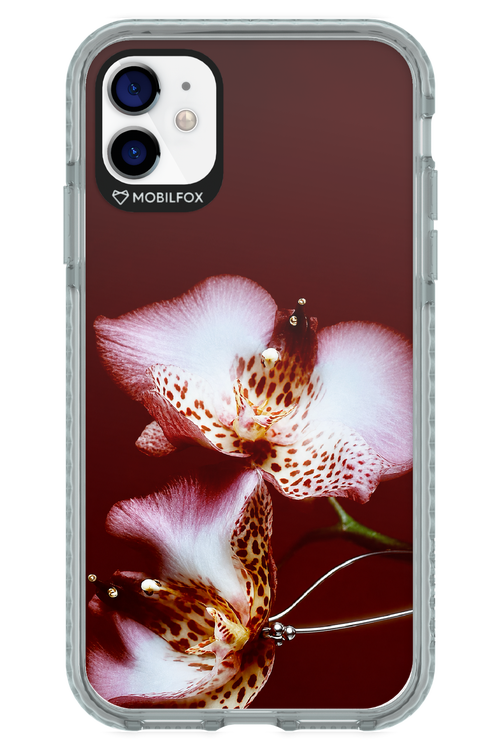 Leobloomy 2.0 - Apple iPhone 11
