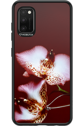 Leobloomy 2.0 - Samsung Galaxy A41