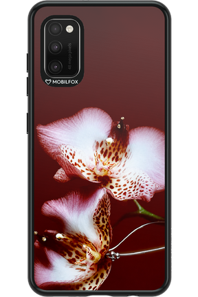 Leobloomy 2.0 - Samsung Galaxy A41