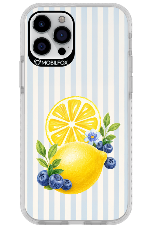 Fresh Flash 2.0 - Apple iPhone 12 Pro