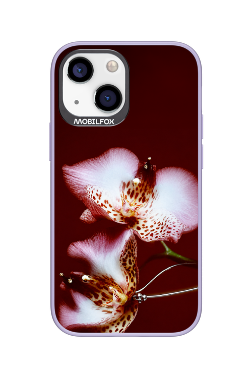 Leobloomy 2.0 - Apple iPhone 13 Mini