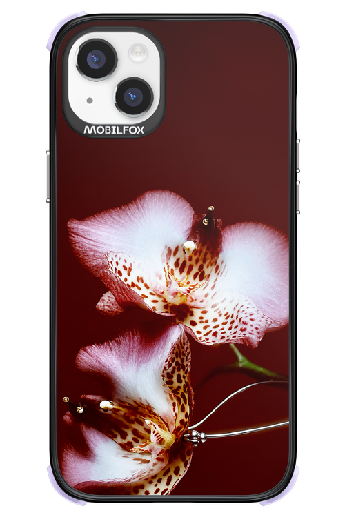 Leobloomy 2.0 - Apple iPhone 14 Plus