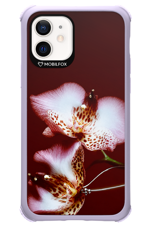 Leobloomy 2.0 - Apple iPhone 12