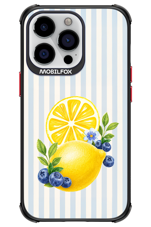 Fresh Flash 2.0 - Apple iPhone 13 Pro