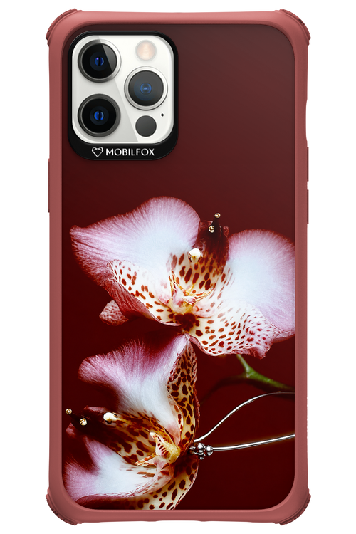 Leobloomy 2.0 - Apple iPhone 12 Pro Max