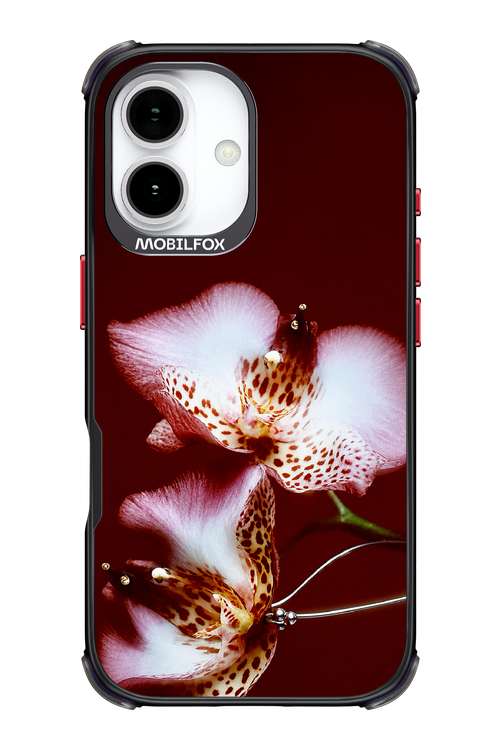 Leobloomy 2.0 - Apple iPhone 17