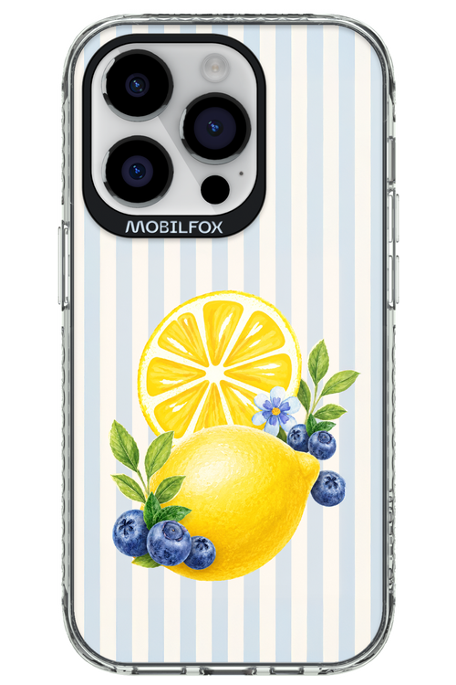 Fresh Flash 2.0 - Apple iPhone 14 Pro