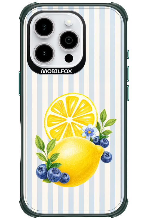 Fresh Flash 2.0 - Apple iPhone 16 Pro