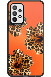 Sun Purr 2.0 - Samsung Galaxy A72