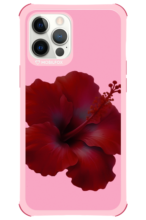 HibiGundy - Apple iPhone 12 Pro Max