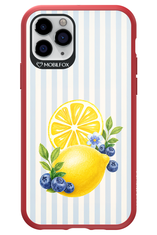 Fresh Flash 2.0 - Apple iPhone 11 Pro