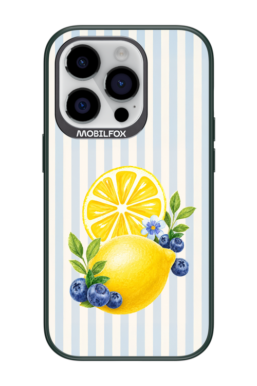 Fresh Flash 2.0 - Apple iPhone 14 Pro