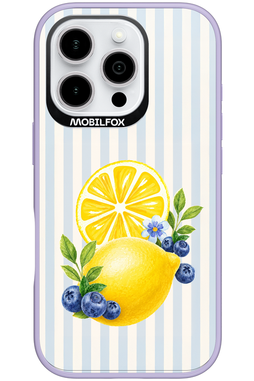 Fresh Flash 2.0 - Apple iPhone 16 Pro