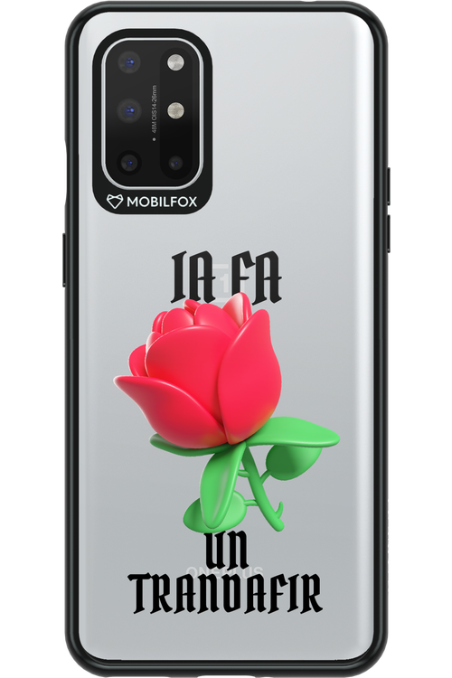 Rose Transparent - OnePlus 8T