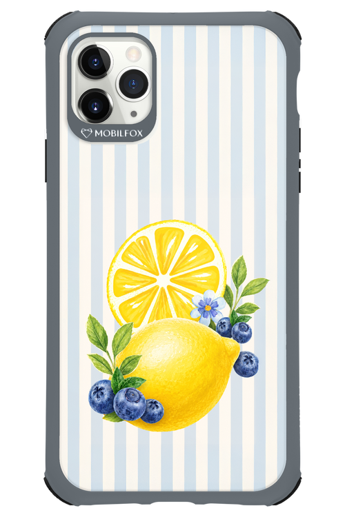 Fresh Flash 2.0 - Apple iPhone 11 Pro Max