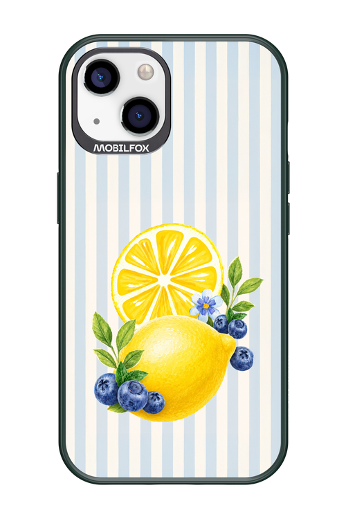 Fresh Flash 2.0 - Apple iPhone 13