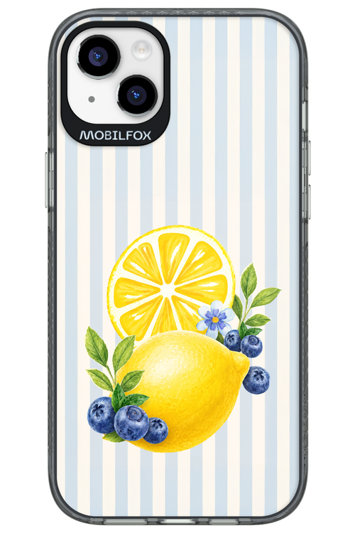 Fresh Flash 2.0 - Apple iPhone 14 Plus