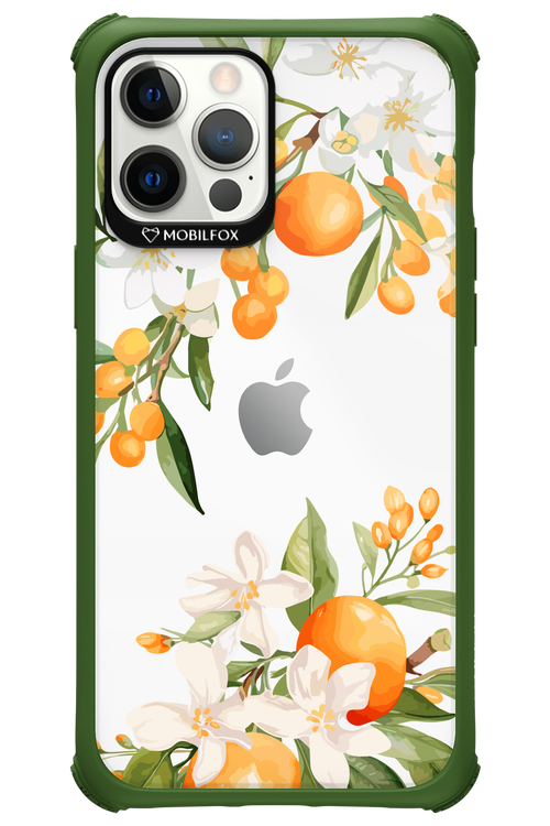 Amalfi Orange 2.0 - Apple iPhone 12 Pro Max