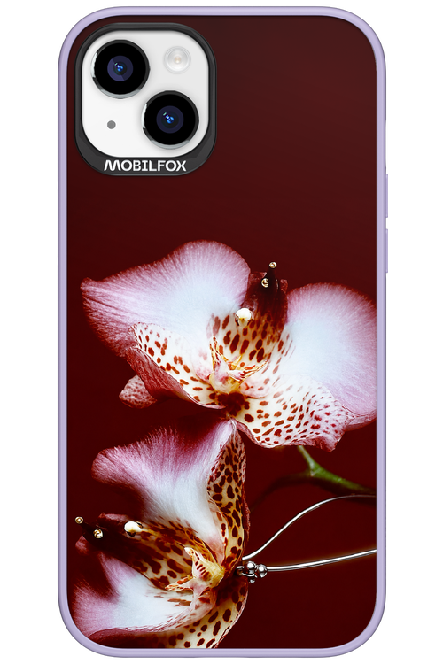 Leobloomy 2.0 - Apple iPhone 15 Plus