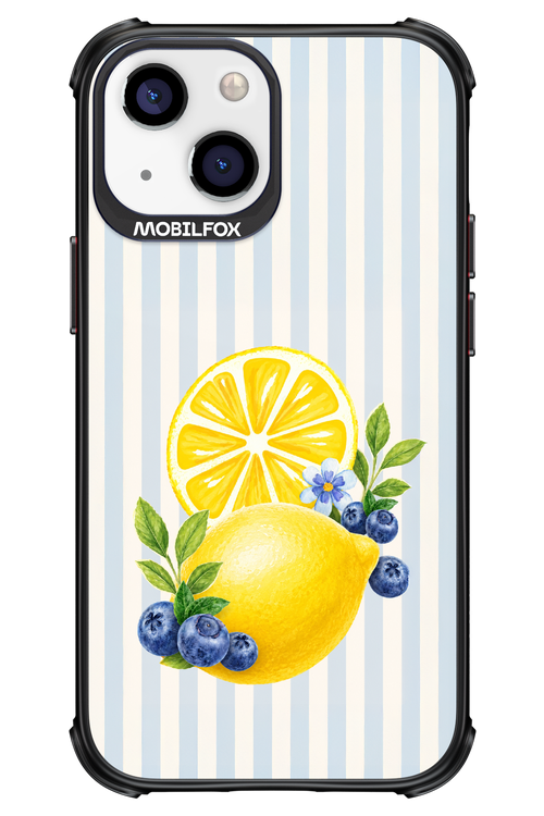 Fresh Flash 2.0 - Apple iPhone 13 Mini