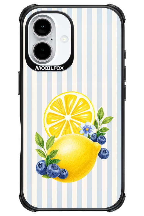 Fresh Flash 2.0 - Apple iPhone 16