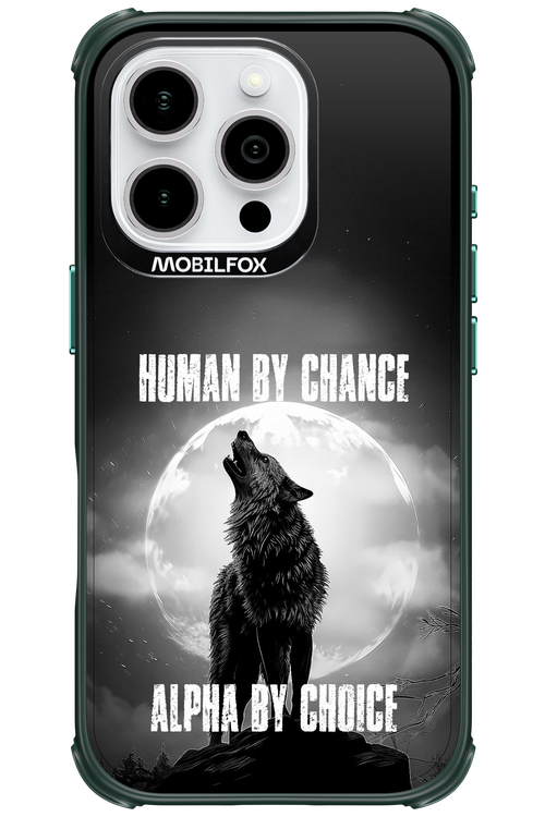 Alpha 2.0 - Apple iPhone 16 Pro