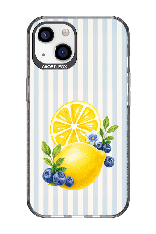 Fresh Flash 2.0 - Apple iPhone 13