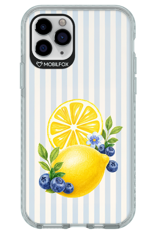 Fresh Flash 2.0 - Apple iPhone 11 Pro