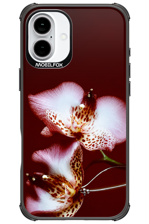 Leobloomy 2.0 - Apple iPhone 16 Plus