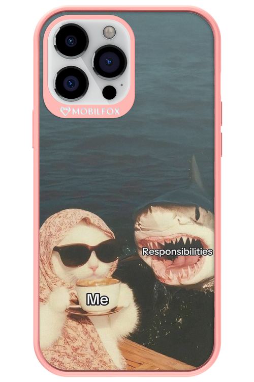 Responsibilities - Apple iPhone 13 Pro Max