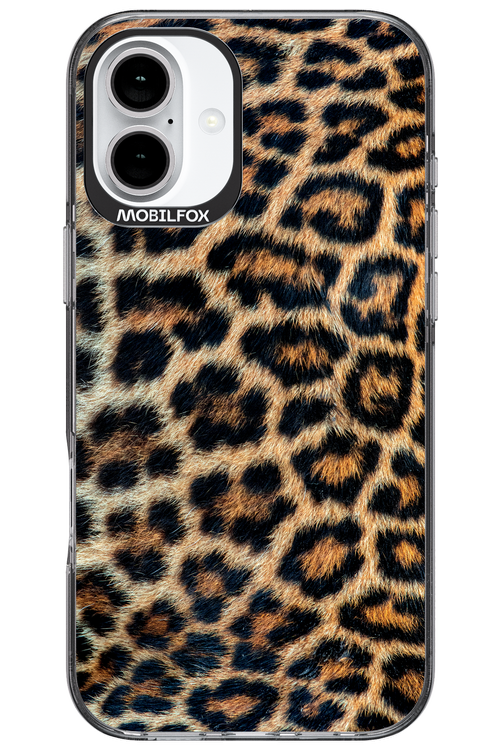 Leopard 2.0 - Apple iPhone 16 Plus