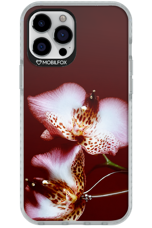 Leobloomy 2.0 - Apple iPhone 12 Pro Max