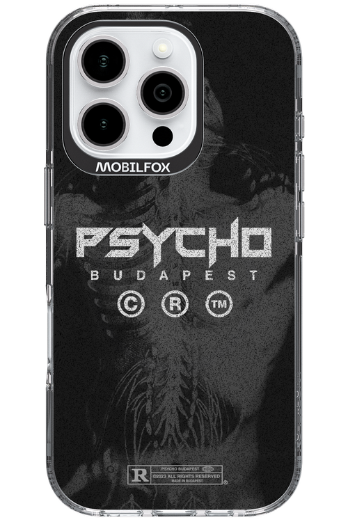 X-Ray - Apple iPhone 16 Pro