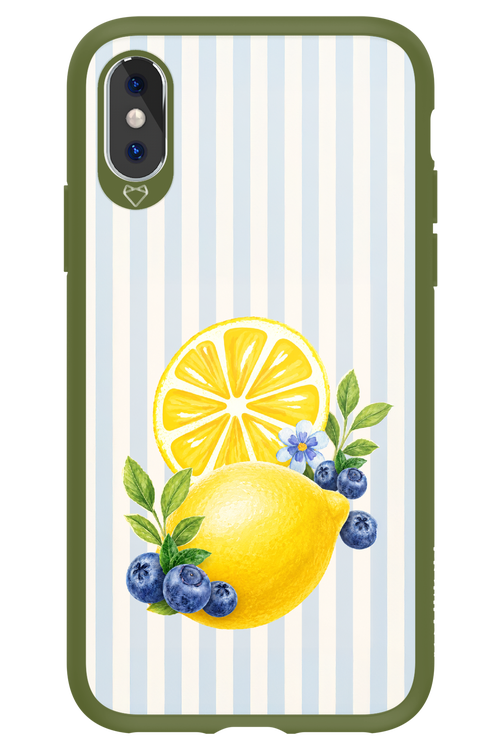 Fresh Flash 2.0 - Apple iPhone X