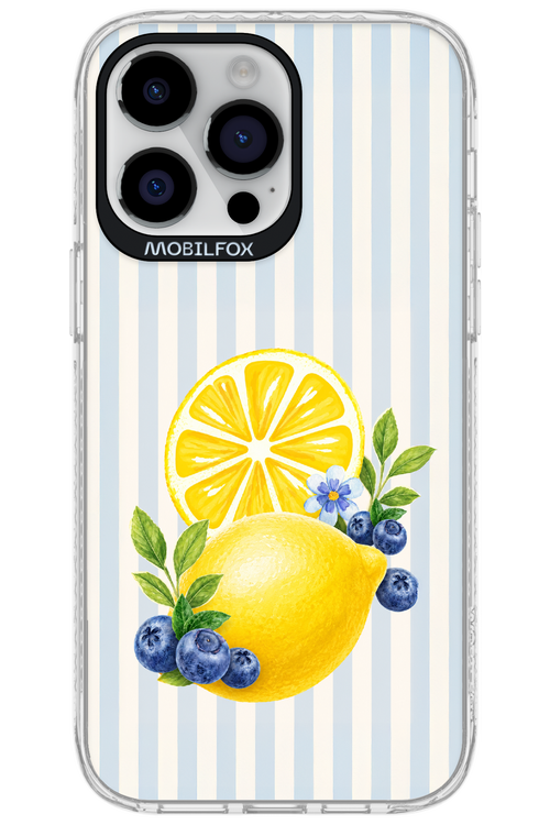 Fresh Flash 2.0 - Apple iPhone 14 Pro Max