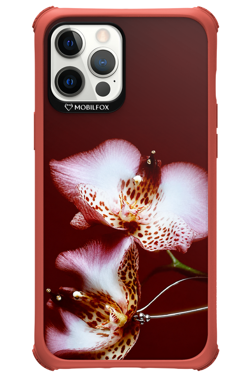 Leobloomy 2.0 - Apple iPhone 12 Pro Max