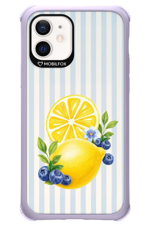 Fresh Flash 2.0 - Apple iPhone 12