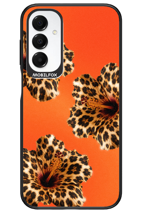 Sun Purr 2.0 - Samsung A16